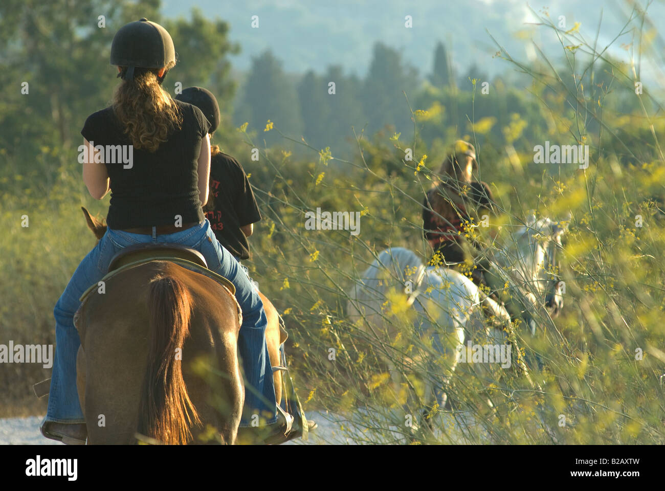 Israelische Frauen Reitpferde im Menashe Höhen oder Ramot Menashe befindet sich auf dem Carmel Bereich Nordisrael Stockfoto