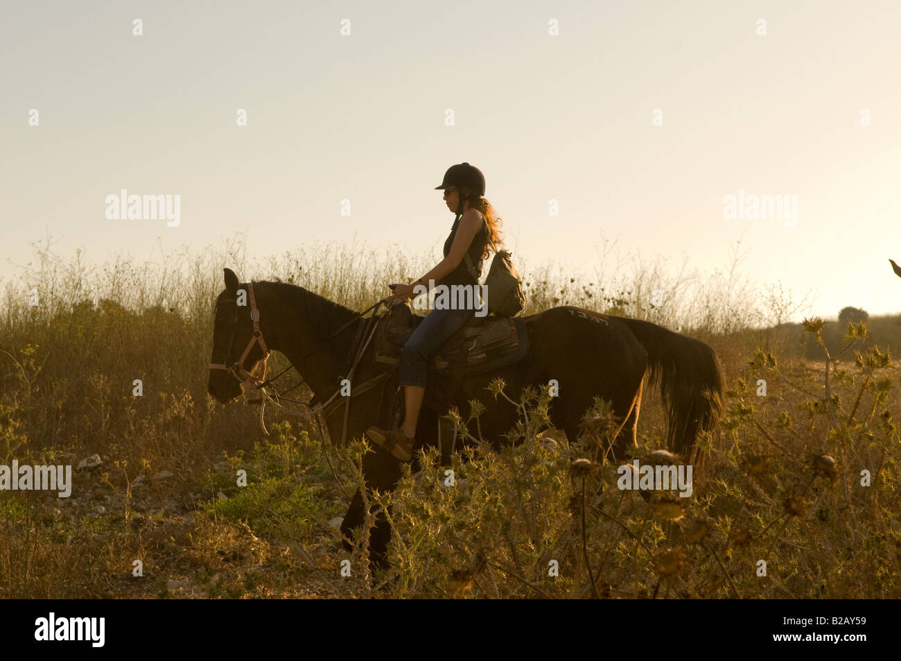 Eine israelische Frau auf einem Pferd in der Menashe Höhen oder Ramot Menashe befindet sich auf dem Carmel Bereich Nordisrael Stockfoto