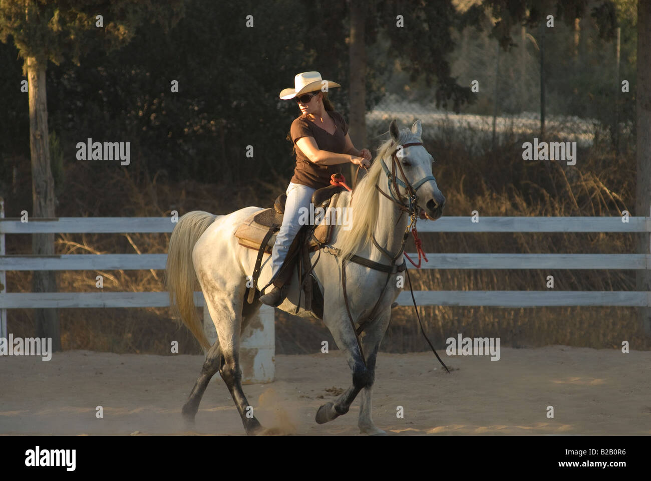 Eine israelische Frau auf einem Pferd in der Menashe Höhen oder Ramot Menashe befindet sich auf dem Carmel Bereich Nordisrael Stockfoto