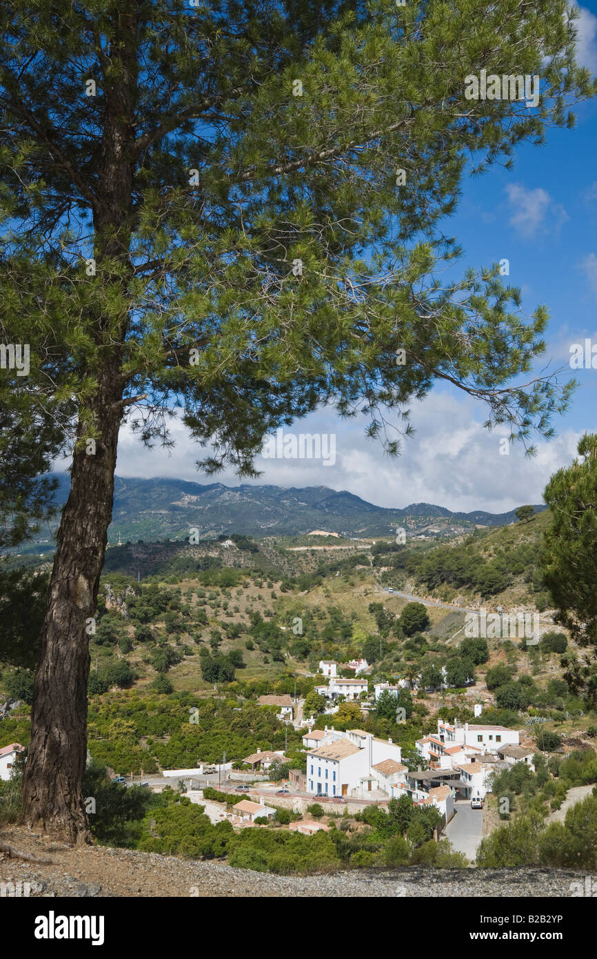 Parque Natural De Las Sierra De Las Nieves Stockfotos und bilder