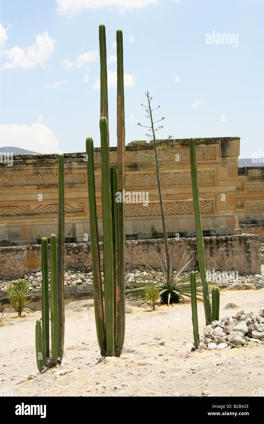 Grupo de Las Columnas, Ausgrabungsstätte Mitla, San Pablo Villa de Mitla, Bundesstaat Oaxaca, Mexiko Stockfoto
