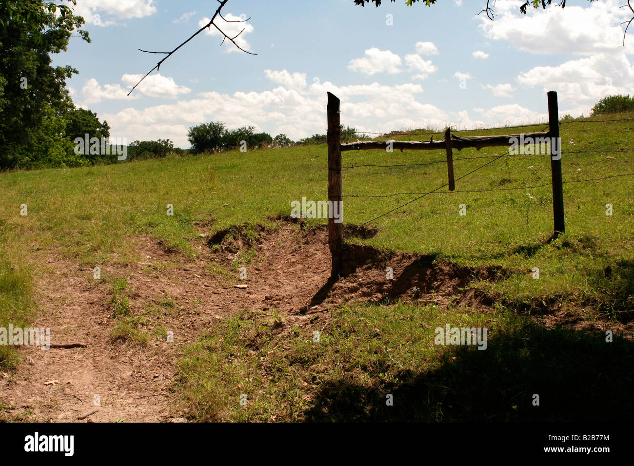 Erosion durch Nutztiere in der Nähe von Tor Stockfoto