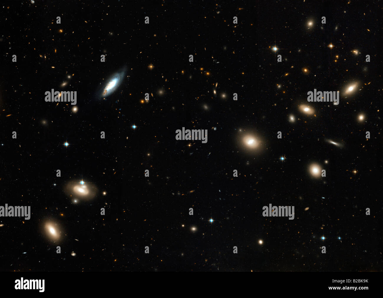 Die Coma Cluster von Galaxien. Stockfoto