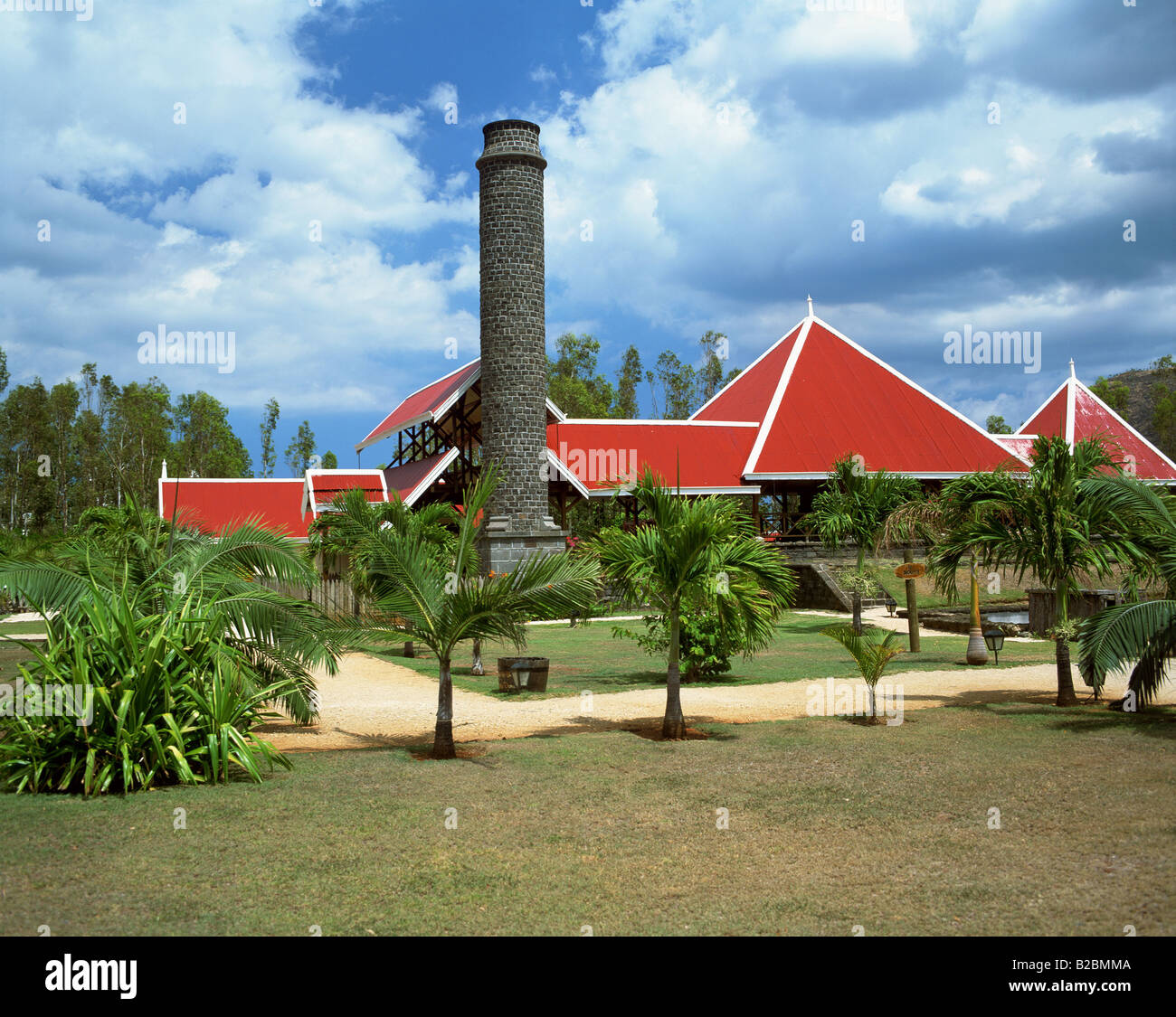Zuckerrohr-Plantage-Mauritius Stockfoto