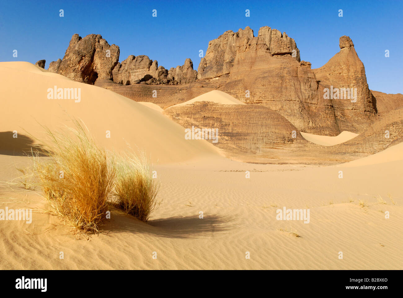 Felsformation in Tin Akachaker, Tassili du Hoggar, Wilaya Tamanrasset, Algerien, Sahara, Nordafrika Stockfoto