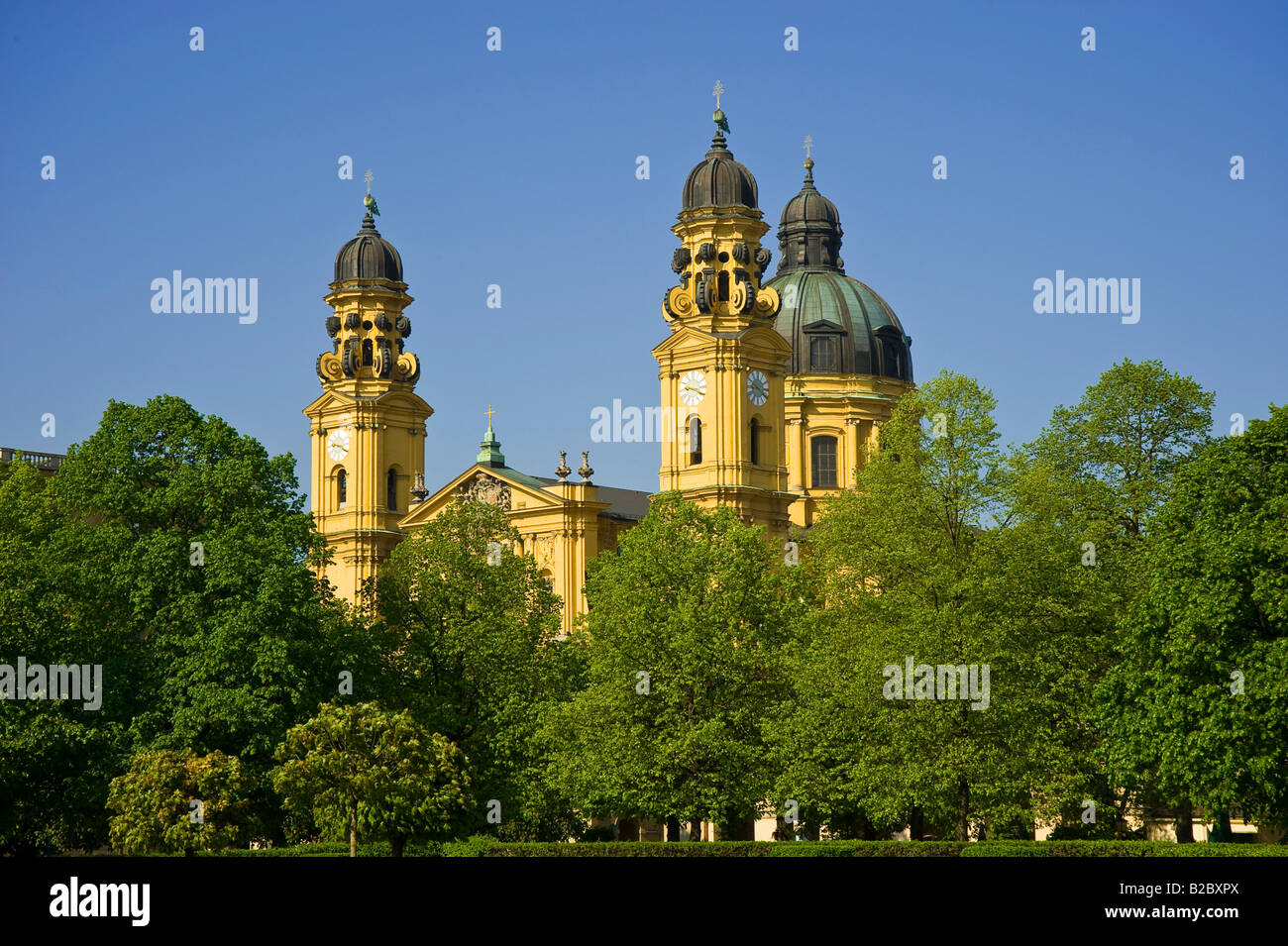 Theatinerkirche Kirche gesehen vom Hofgarten, München, Upper Bavaria, Bavaria, Germany Stockfoto