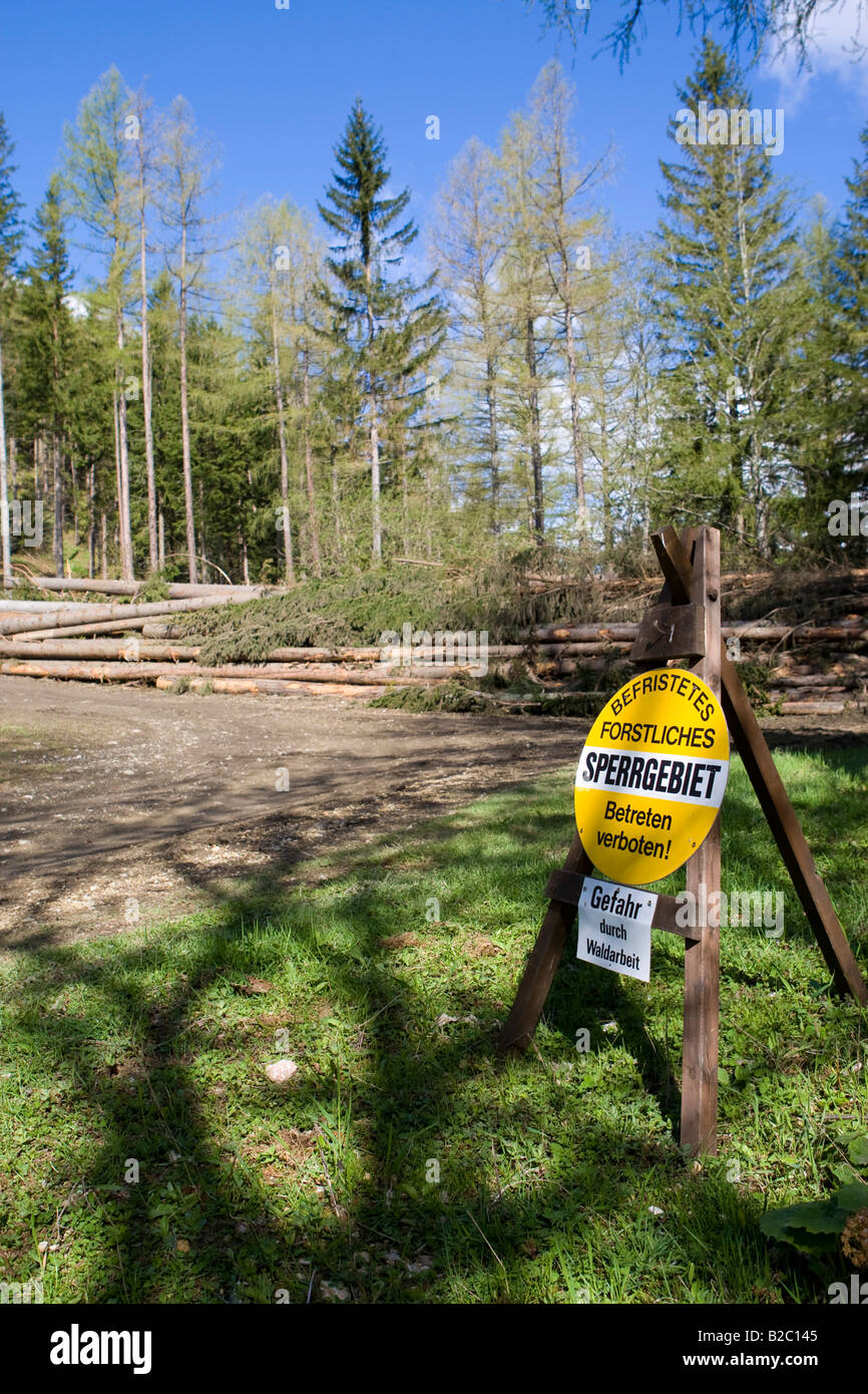 Achtung Schild verbotene Zone nach einem heftigen Sturm in einem Wald, gewalkt Bäume am Rücken, Steiermark, Österreich, Europa Stockfoto