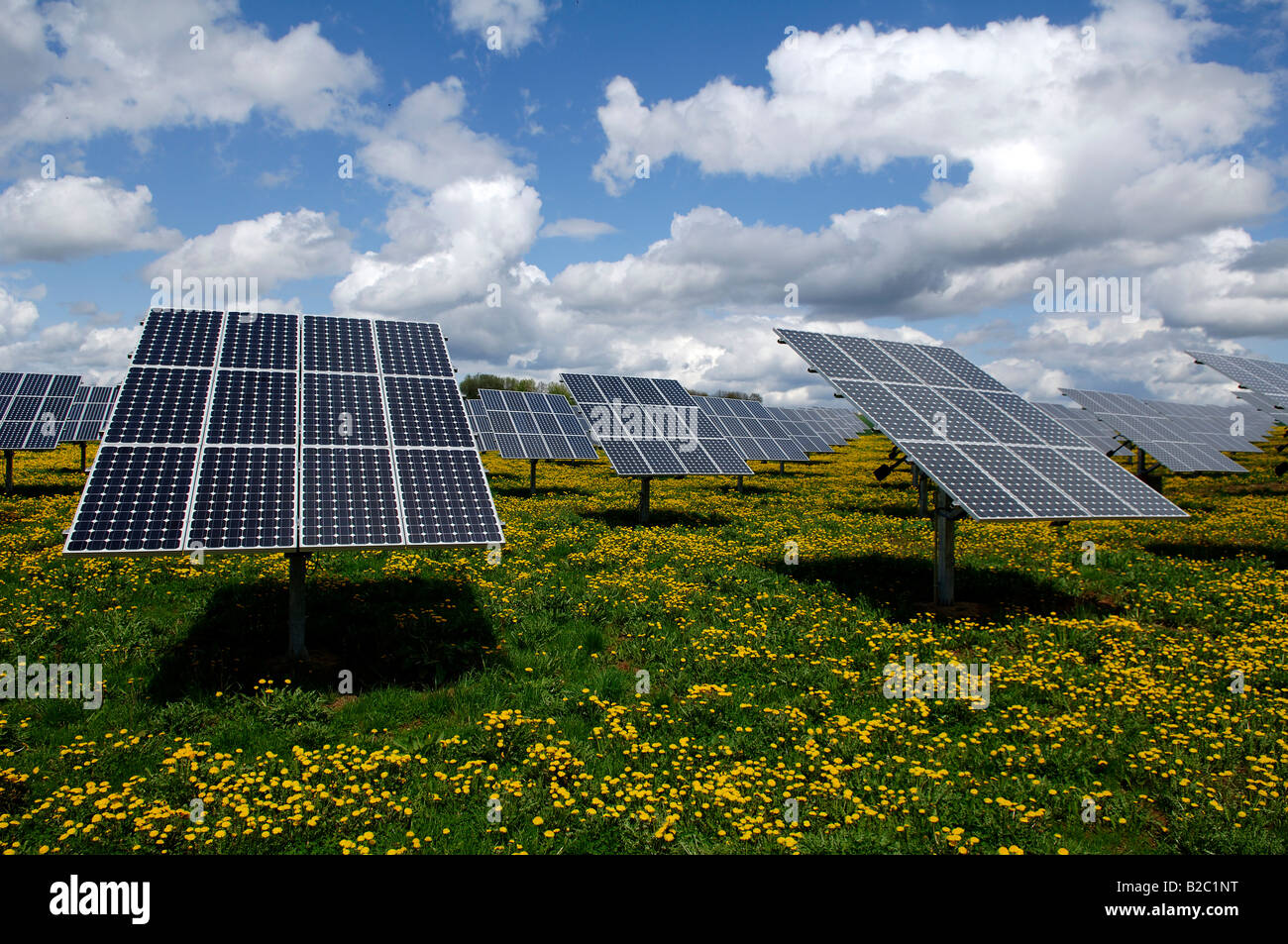 Solarzellen, Sonnenkollektoren in einem Feld in der Nähe von Oberruesselbach, Middle Franconia, Bayern, Deutschland, Europa Stockfoto
