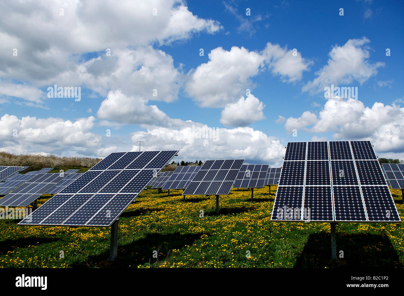 Photovoltaik, Solar-Panels in einem Feld in der Nähe von Oberruesselbach, Middle Franconia, Bayern, Deutschland, Europa Stockfoto