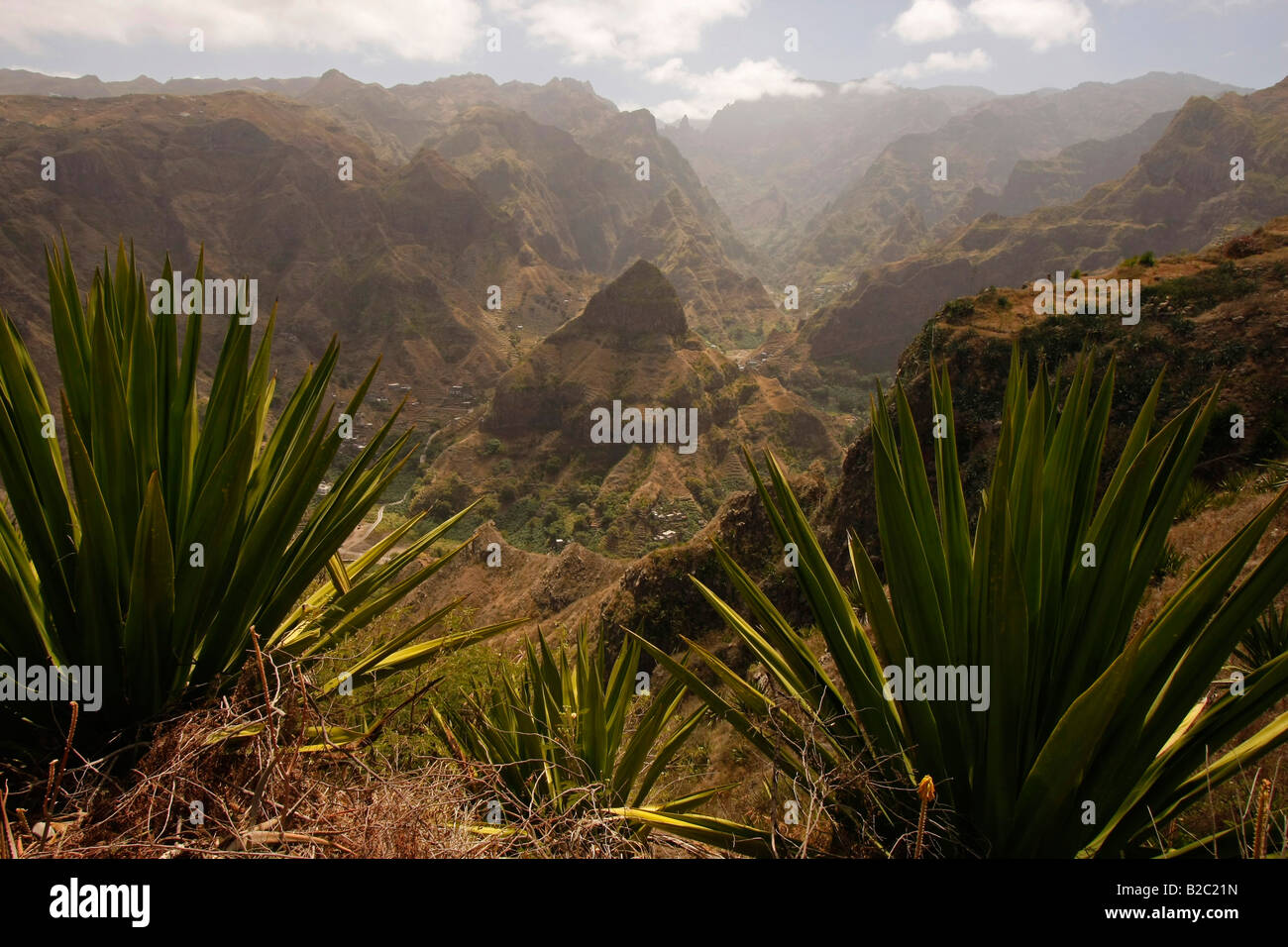 Landschaft mit einigen Pflanzen auf der Insel Santo Antao, Kap Verde, Kapverdische Inseln, Afrika Stockfoto