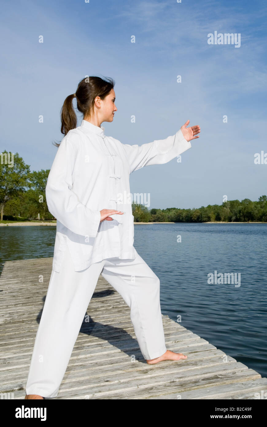 Tai Chi, Griff Vögel Heck Stockfoto