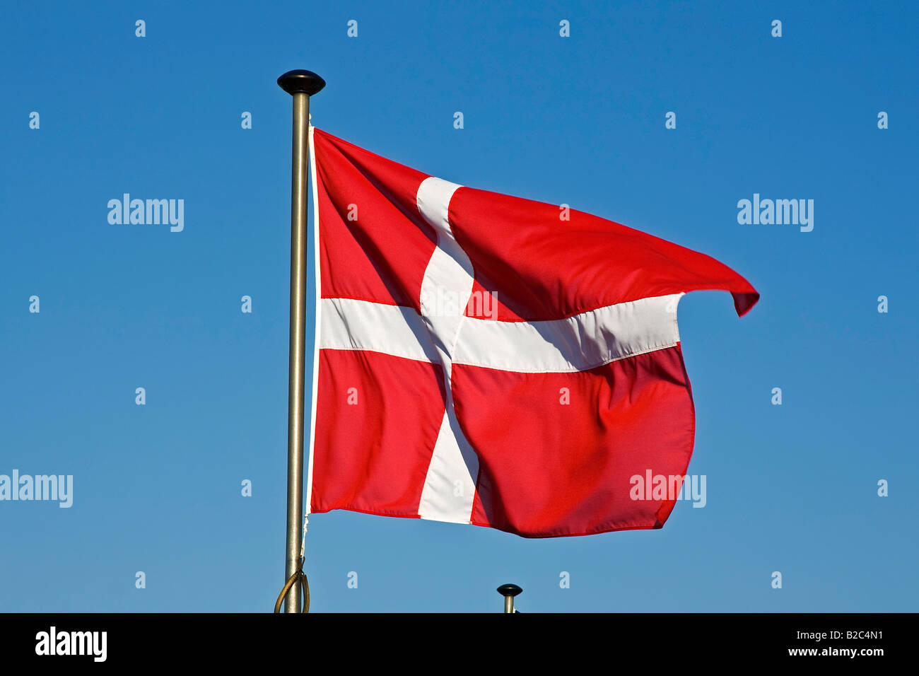 Dänische Flagge, Flagge Dänemarks Dannebrog, flattern im Wind auf eine Fahnenstange Stockfoto