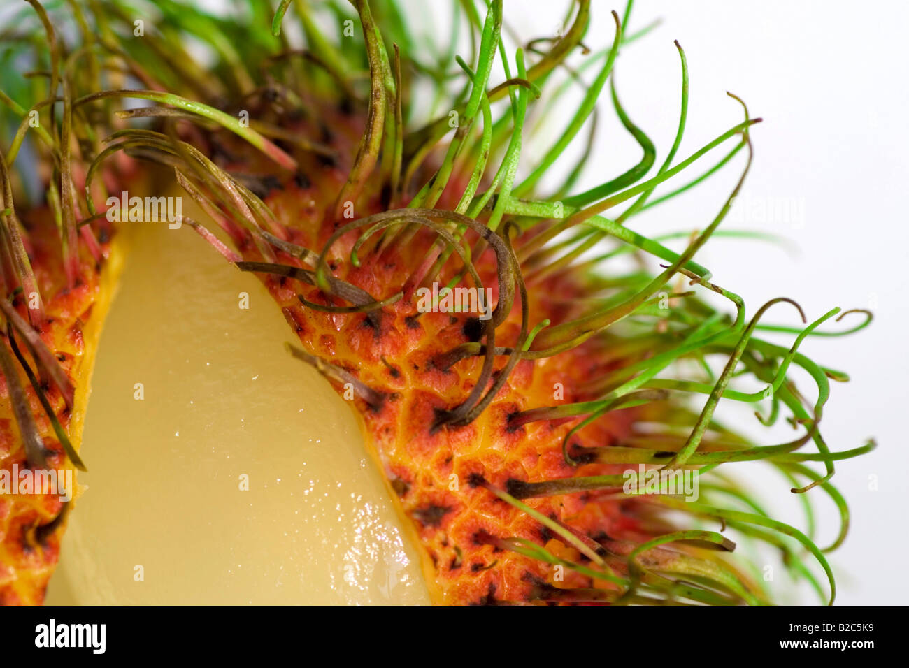 Rambutan (Nephelium Lappaceum), Makro-Bild von tropischen Früchten Stockfoto