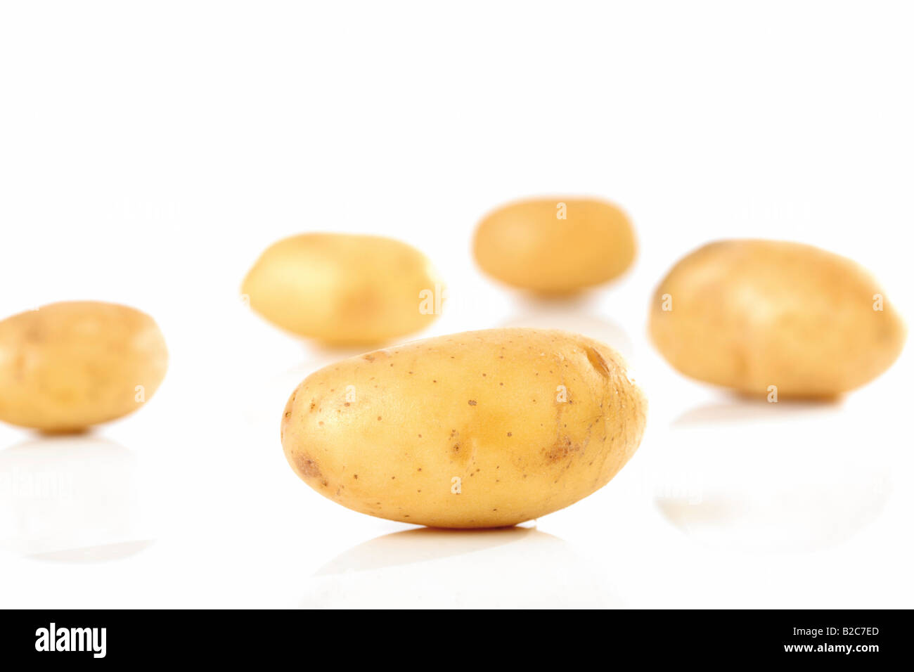 Bio-Kartoffeln (Solanum Tuberosum) Stockfoto