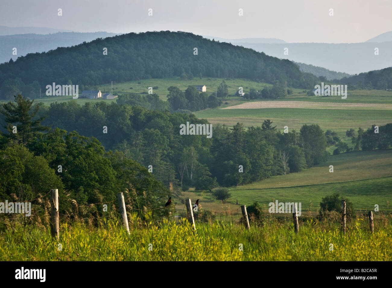 Bauernhof malerische Schoharie Valley New York State Stockfoto
