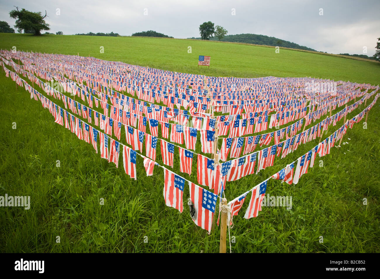 Flaggen für jeden toten Soldaten im Irak Catskills Staat New York Stockfoto