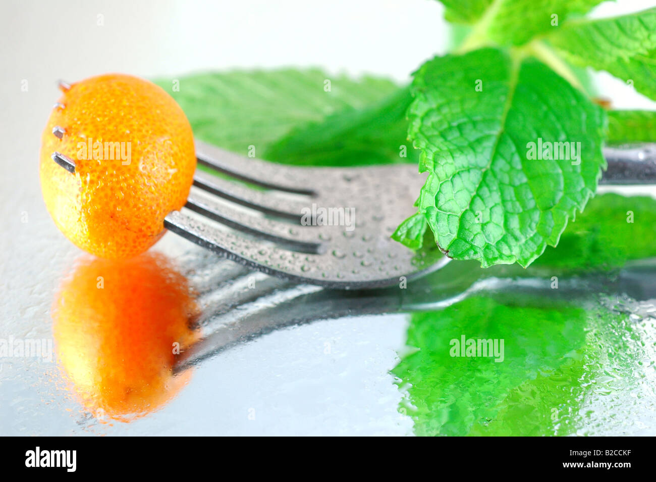 Frische gekühlte Kumquats mit Minze auf einem reflektierenden Hintergrund mit einer geringen Schärfentiefe Stockfoto