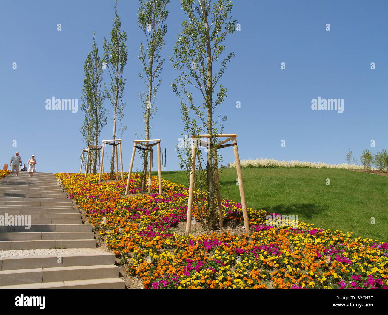 Treppen mit Blumenbeeten und Reihen von Pappeln auf der Bundesrepublik Garten Ausstellung 2007 Gera und Ronneburg Stockfoto