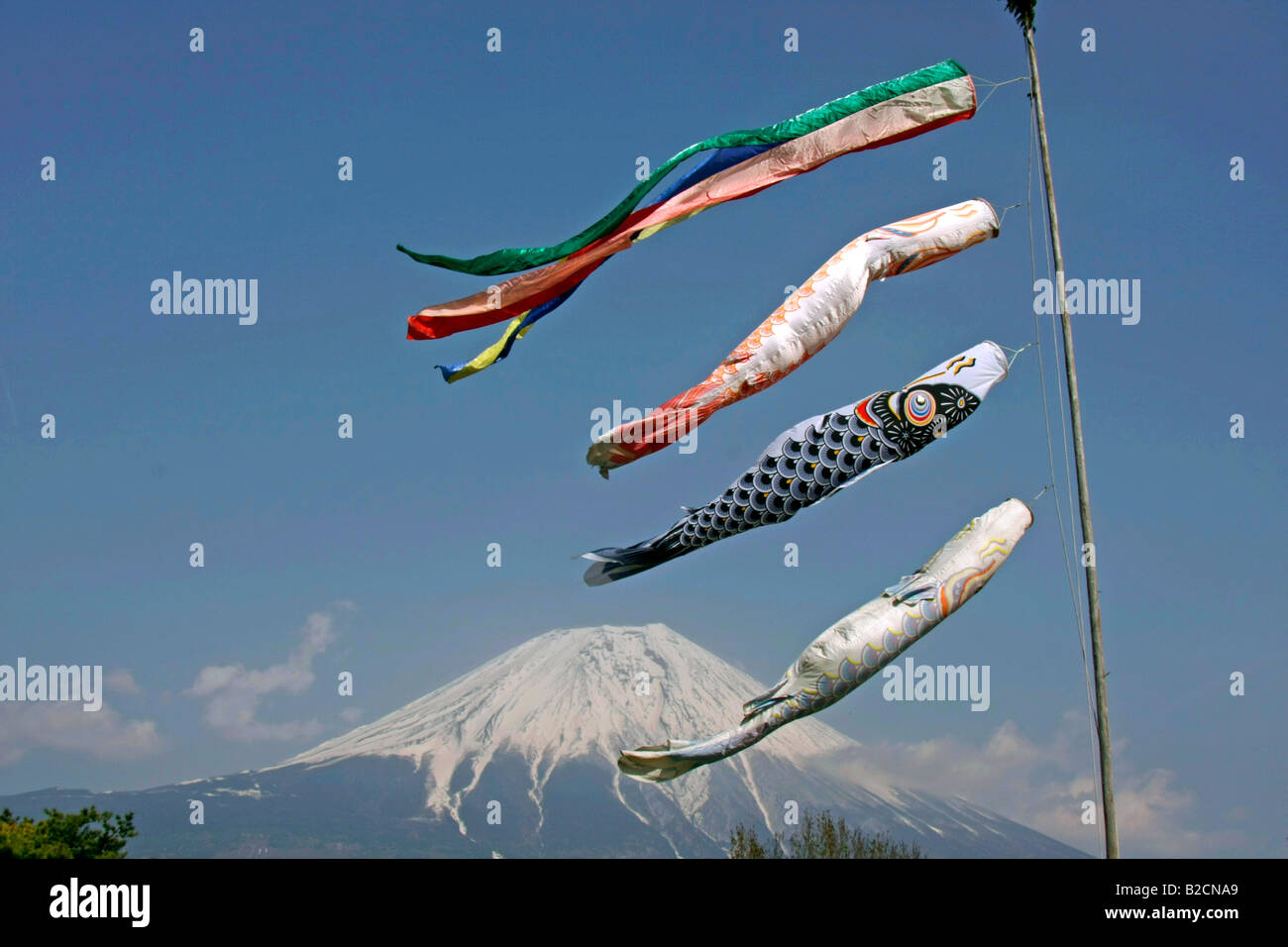 Karpfen Streamers(Koinobori) fliegende Mt. Fuji Hintergrund Asagiri Highland Shizuoka Japan Stockfoto