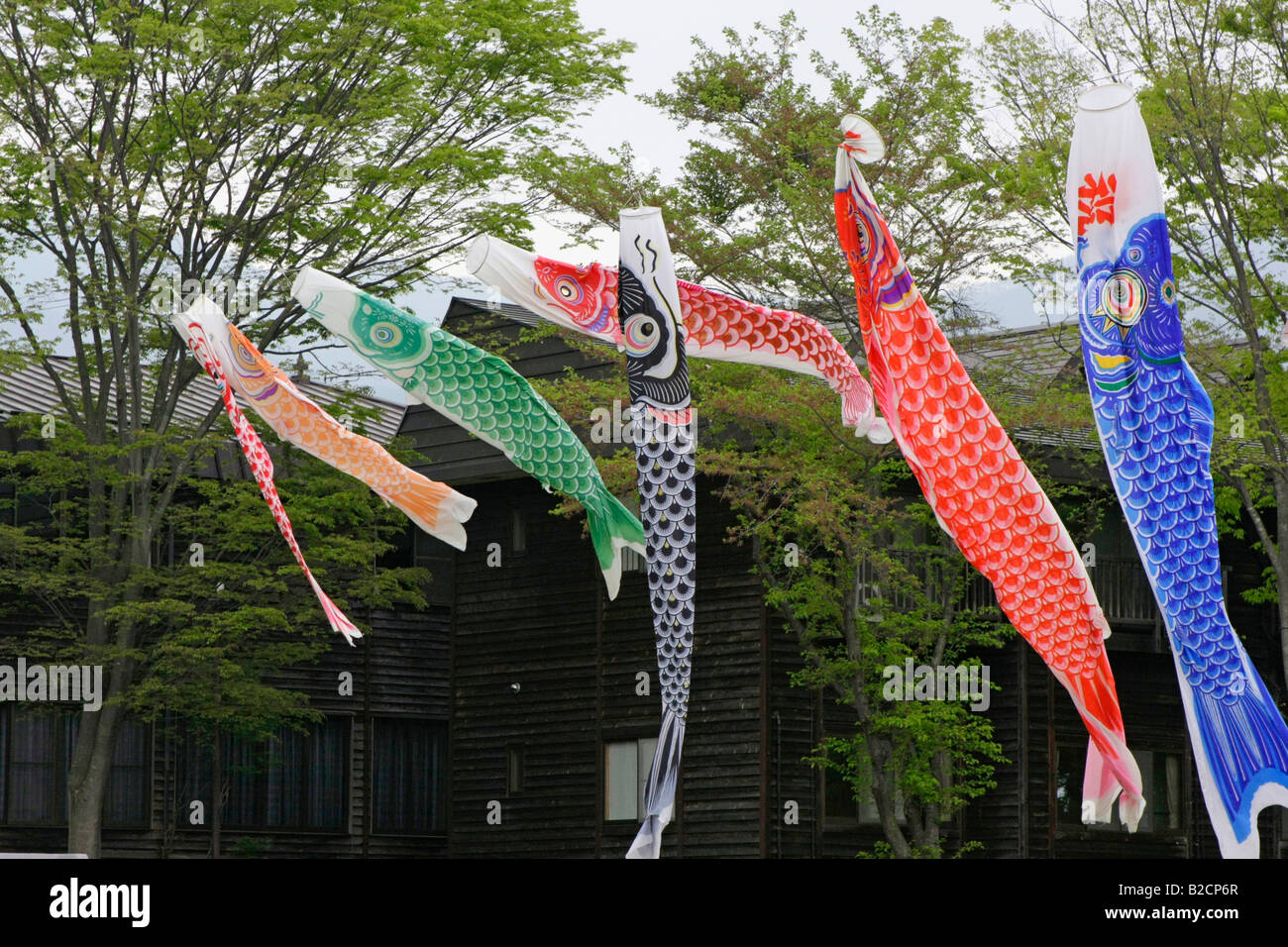 Karpfen Streamers(Koinobori) fliegen in einem Park in Kawaba Mura Dorf Gunma Japan Stockfoto