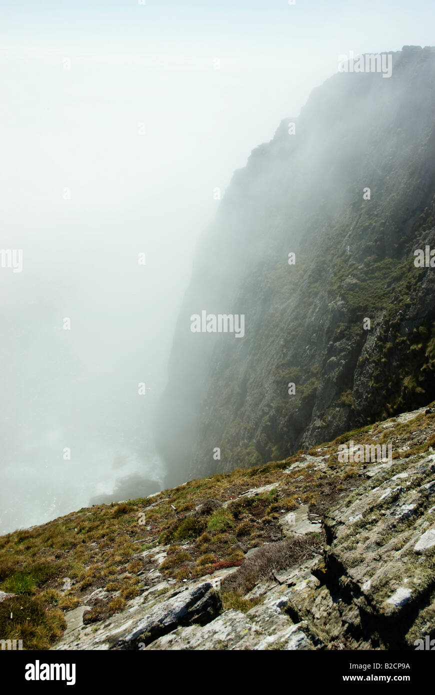 Meer-Nebel über Klippen-Wanderwege Stockfoto