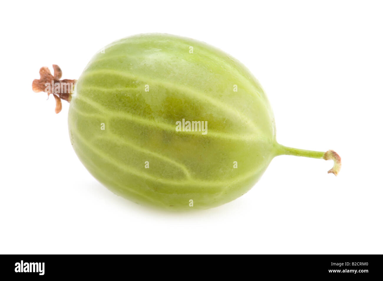 Objekt auf weißen Essen Stachelbeeren closeup Stockfoto