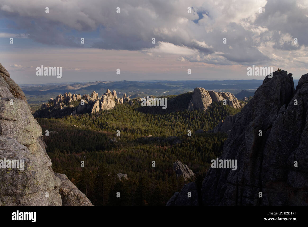 Granit Outcroppings einschließlich der Türme der Kathedrale von Harney Peak, Custer State Park & Black Hills National Forest, South Dakota Stockfoto