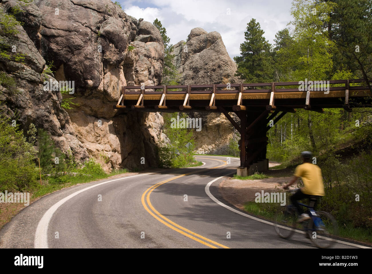 Radfahrer auf der Peter Norbeck Scenic Byway, Iron Mountain Road, Black Hills National Forest, South Dakota Stockfoto