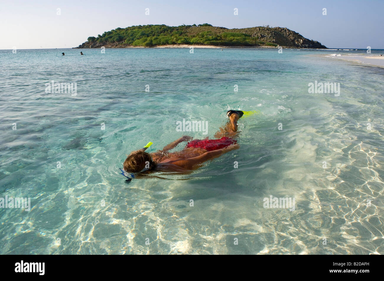 Schnorcheln Sie Sandy Spit British Virgin Islands Stockfoto