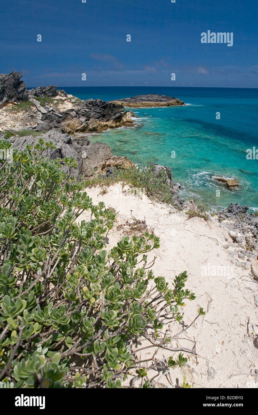 Charles Insel Bermuda Stockfoto