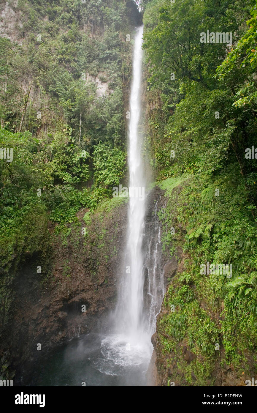Middleham fällt Dominica Eastern Caribbean West Indies die Wasserfälle sind 100 Fuß Stockfoto