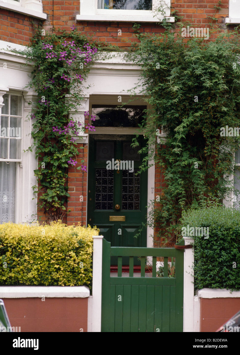 Grünes Tor vor viktorianischen Stadthaus mit lila Clematis über Haustür Stockfoto