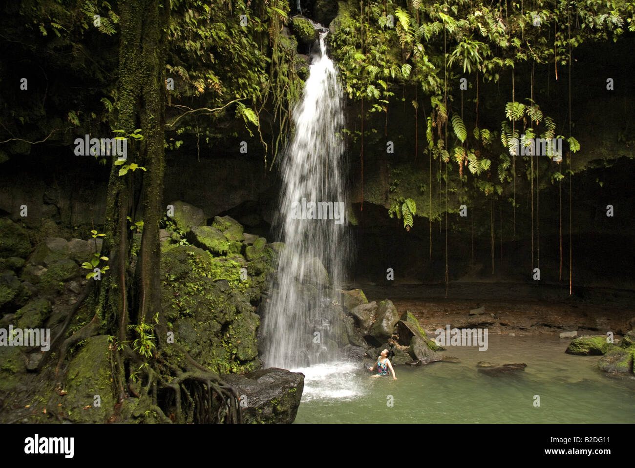 Insel Dominica Emerald Pool Fern Grotto und Wasser fallen im Nationalpark Morne Trois Piton Stockfoto