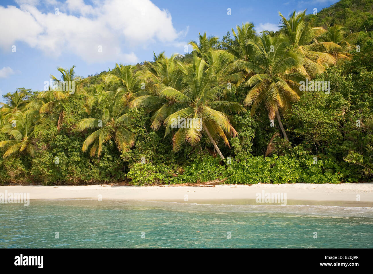 Cinnamon Bay St Johns US Virgin Islands Stockfoto