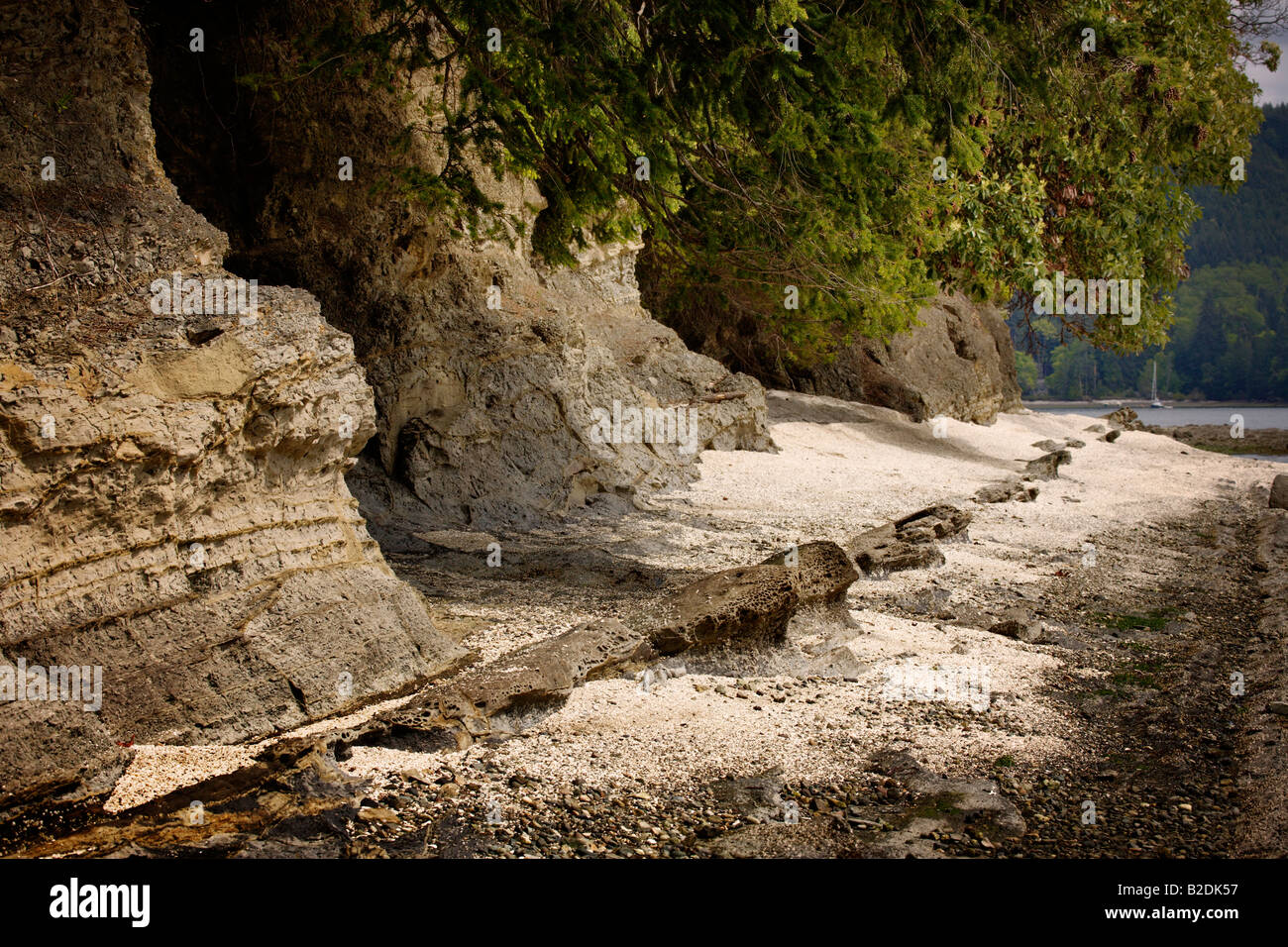 weiße Muschel Strand Montague Hafen Provincial Park Galiano Insel Stockfoto