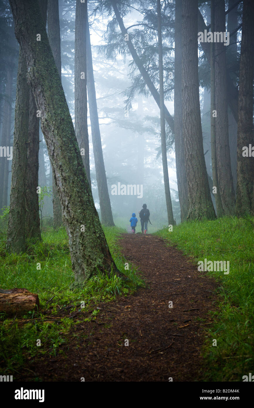 Bodega Höhenweg auf Galiano Island British Columbial Kanada Stockfoto