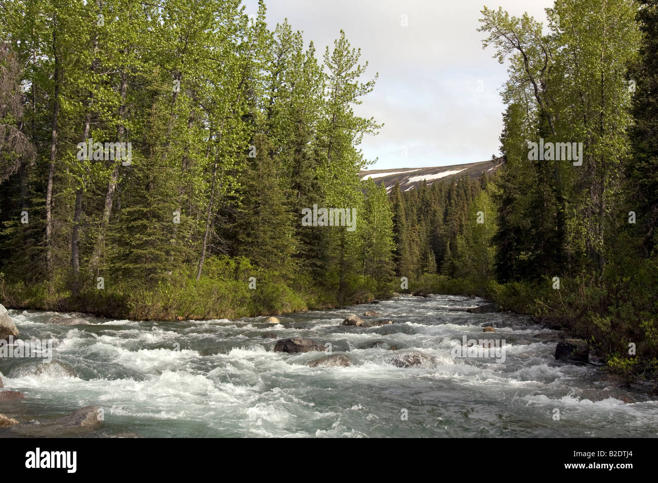 Wildwasser-Fluss seinen Weg schneiden obwohl der Wildnis Alaskas. Stockfoto