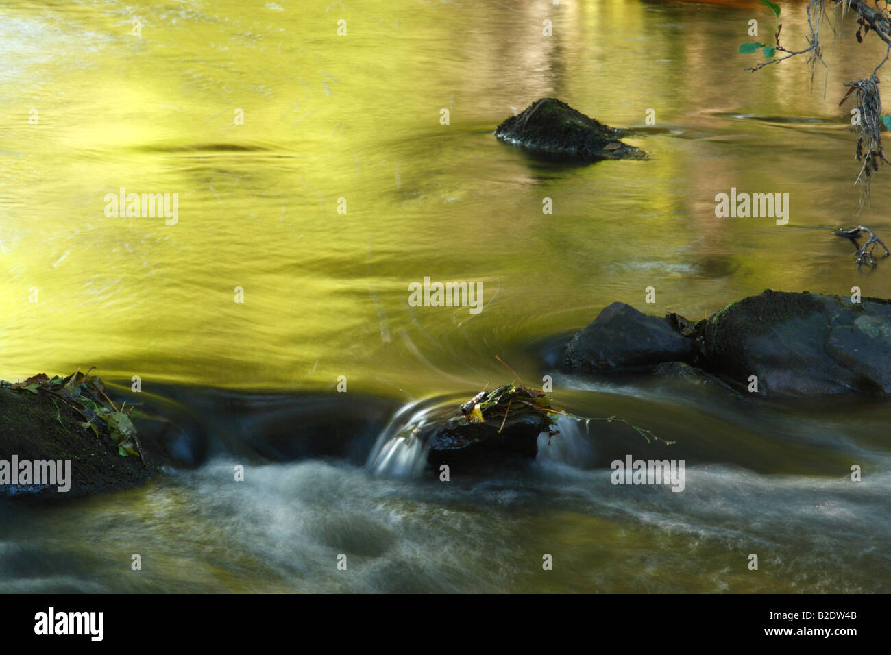 Beleuchtete Bäume spiegelt sich auf der Wasseroberfläche des Fluß Esk in North York Moors National Park Stockfoto