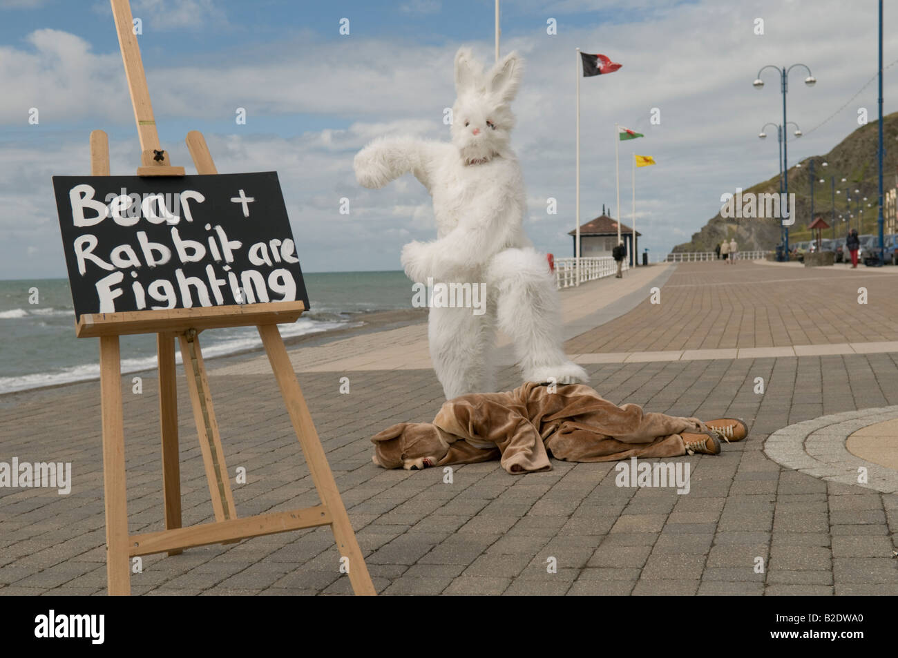 Zwei Performance-Künstler gekleidet in Bär und Hase Kostüme kämpfen auf Aberystwyth Promenade, Wales UK Stockfoto