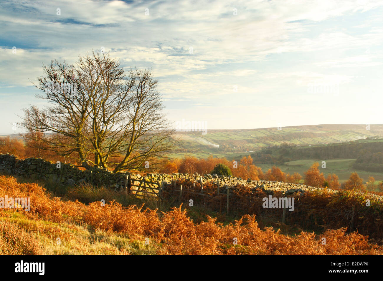 Blick über das Esk-Tal in Richtung Fryup Dale in den North York Moors National Park Stockfoto