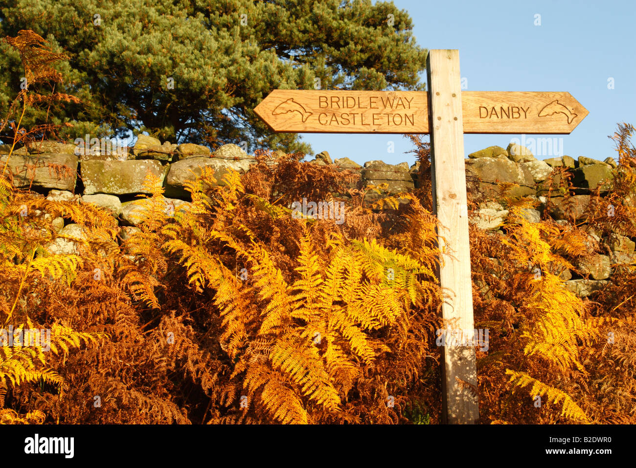 Maultierweg Schild an der Esk Valley gehen Weg zwischen Castleton und Danby gegen eine Steinmauer und goldenen Bracken mit blauem Himmel Stockfoto