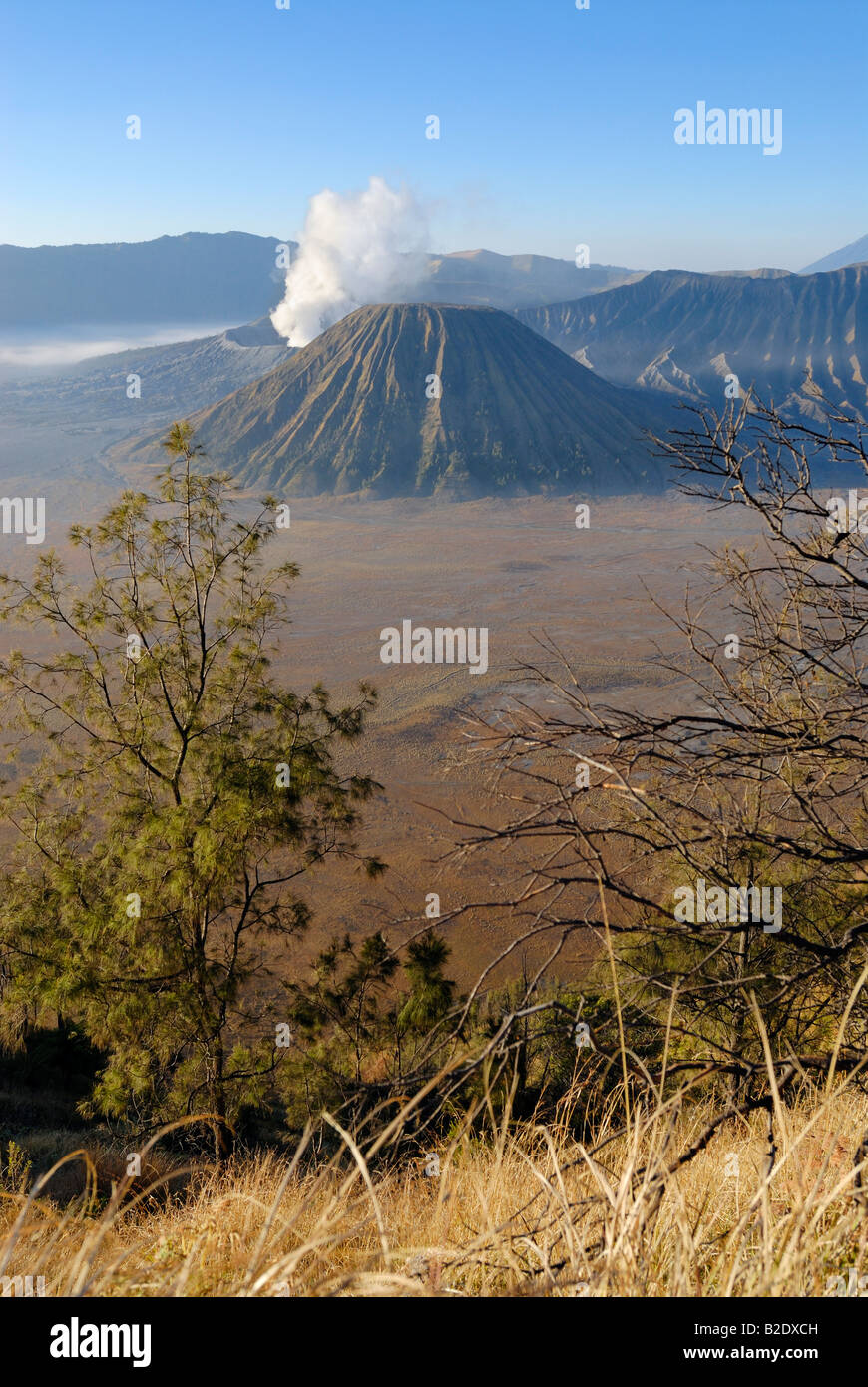 Gunung Bromo Vulkan Bromo mit Sandmeer, bei Sonnenaufgang, PROBOLINGGO, BROMO TENGGER SEMERU Nationalpark, JAVA, Indonesien Stockfoto