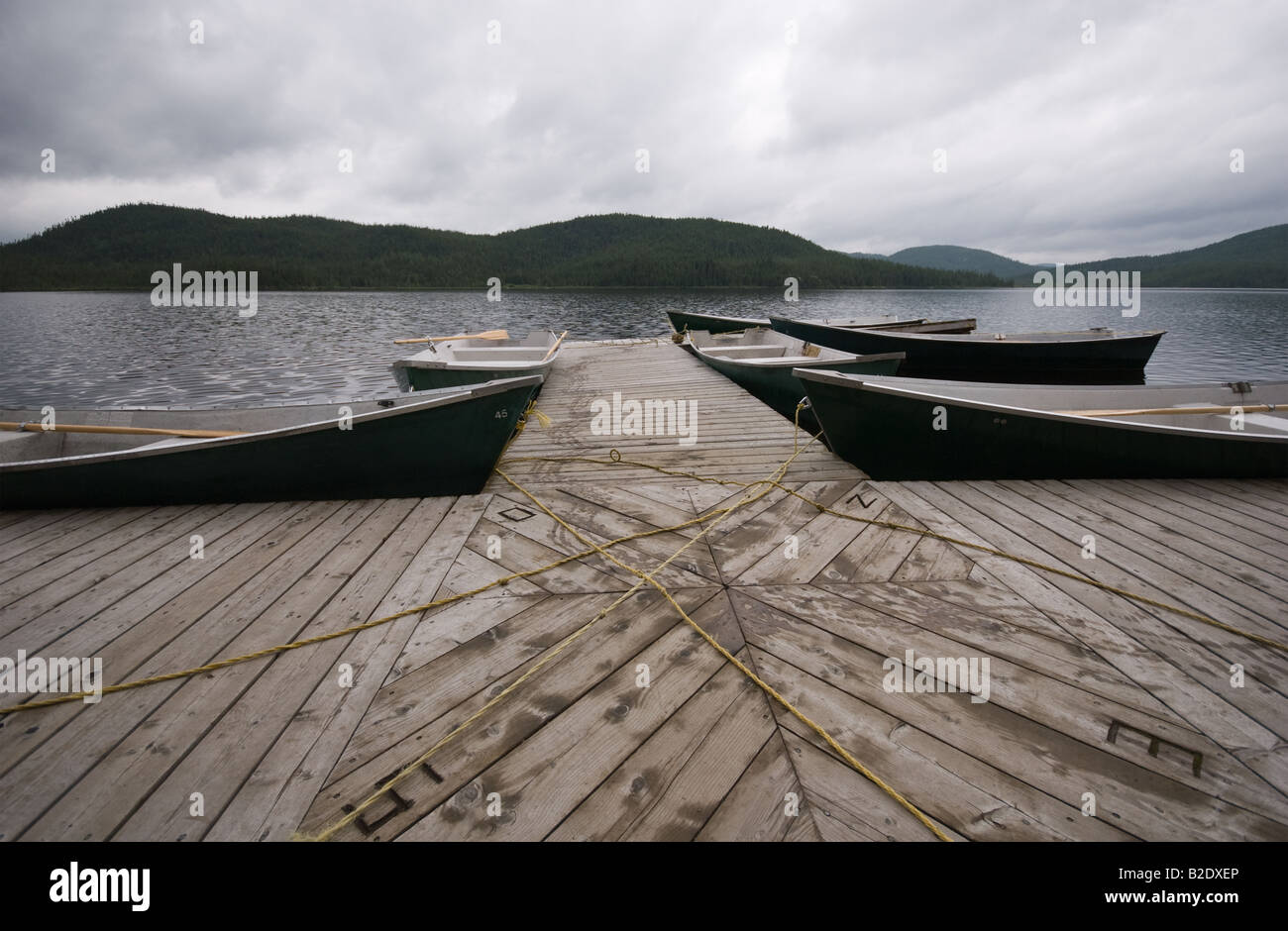 Aufgenommen am Parc National des Grands Jardins, Charlevoix Stockfoto