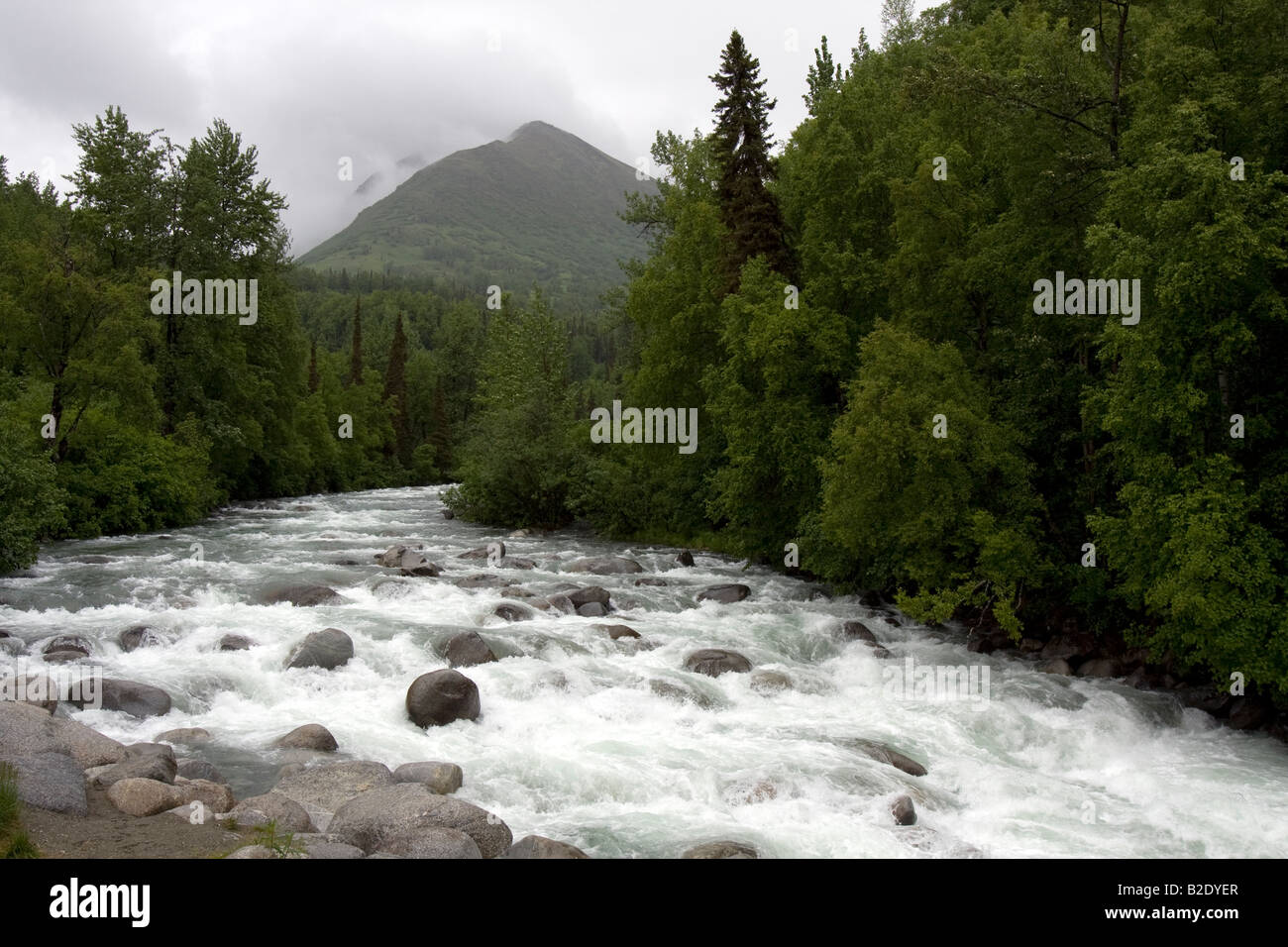 Wilder Fluss, Hatcher Pass Road Alaska Stockfoto