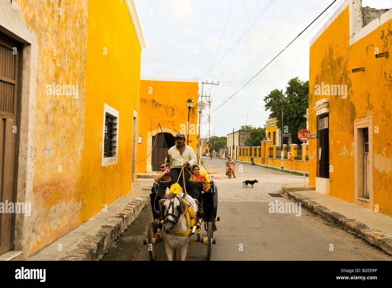 Pferdekutsche Kutsche ein Motorrad und ein Hund-Anteil die Straße in Izamal Yucatan Mexiko Stockfoto