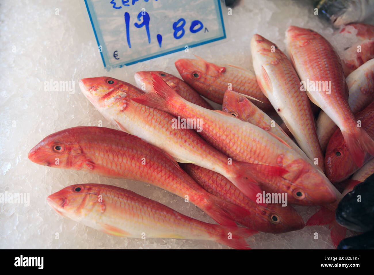 Griechenland Frischfisch Rotbarbe auf dem Display in einem Fischhändler Stockfoto