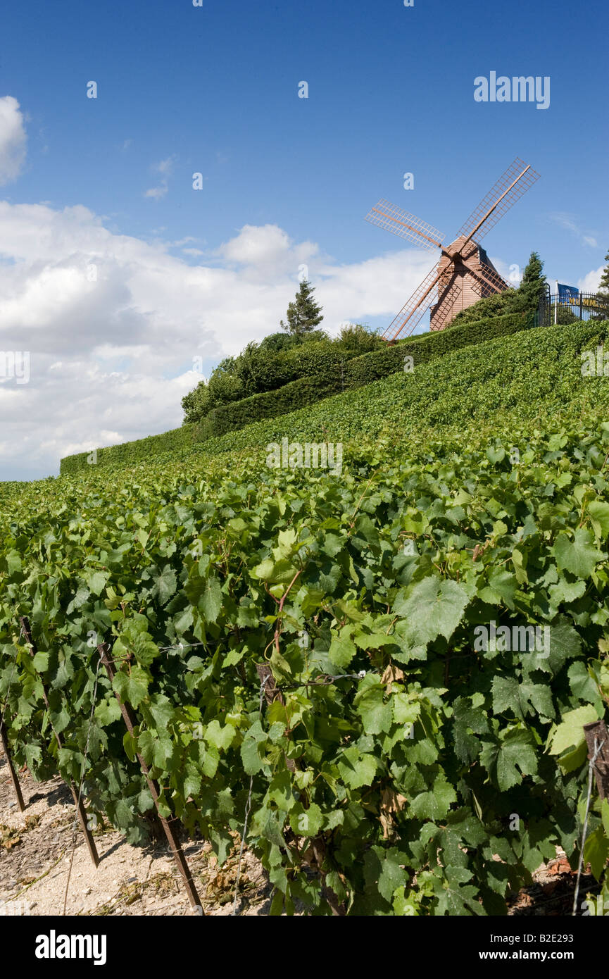 Moulin de Verzenay Mumm Champagner Weinberge Immobilien Montagne de Reims Frankreich Stockfoto