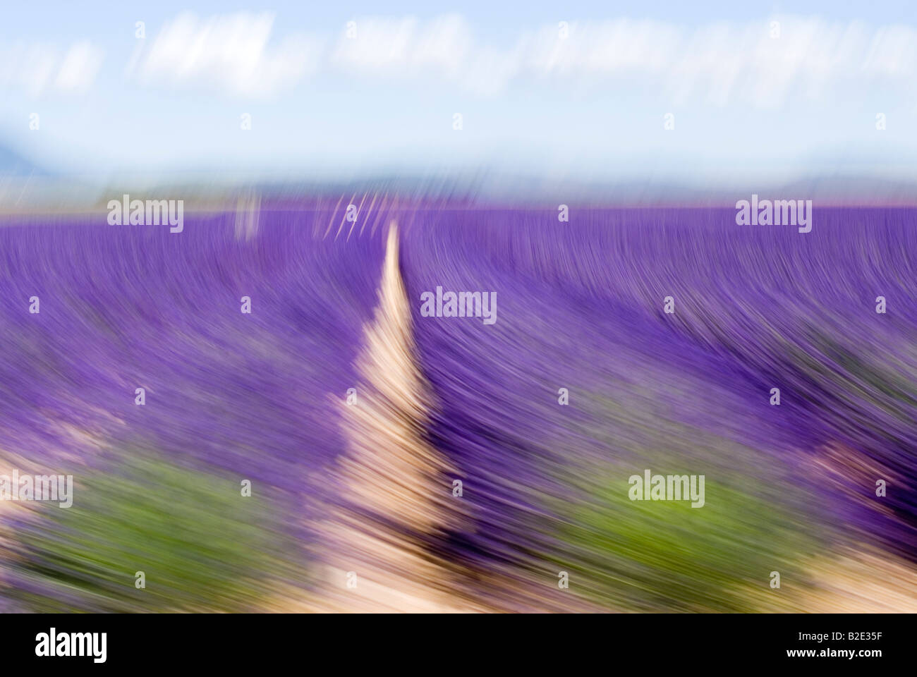 Frankreich Alpes de Haute Provence Valensole Lavendel verschwommen verwischen Bewegung aus beweglichen Auto gesehen Stockfoto
