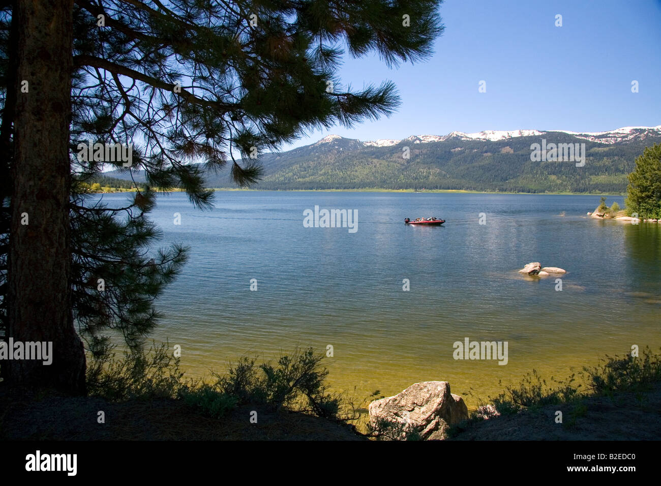 Bootfahren auf Cascade See im Tal Grafschaft Idaho Stockfoto