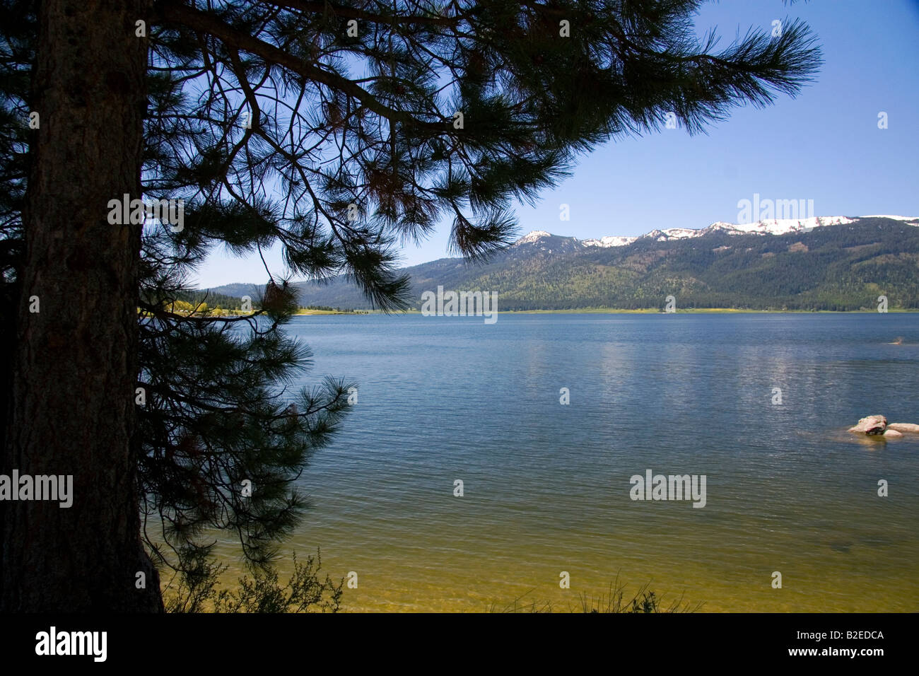 Cascade-See im Tal Grafschaft Idaho Stockfoto